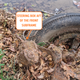 Image for article titled I Found A Car Buried In A Texas Riverbed. Can You Identify It With These Clues?